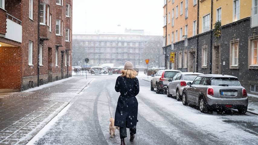 Kvinde lufter hund i snevejr